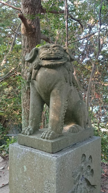 f:id:chayarokurokuro:20200603151645j:plain