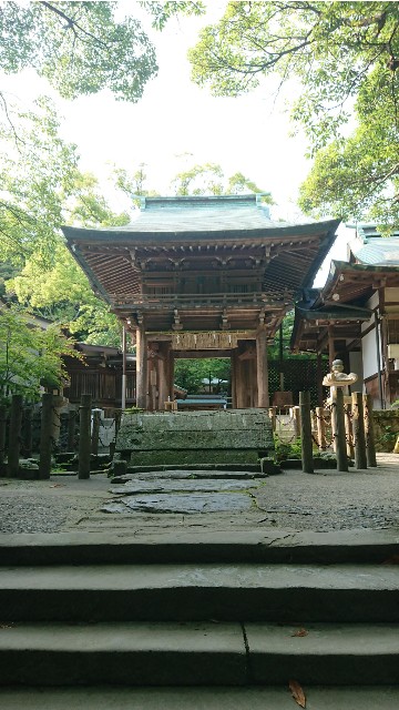 f:id:chayarokurokuro:20200603152502j:plain