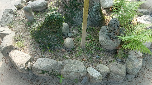 f:id:chayarokurokuro:20200603153154j:plain