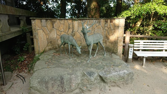 f:id:chayarokurokuro:20200603153250j:plain