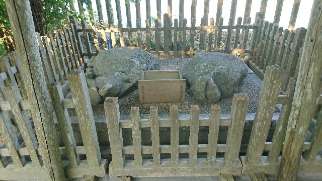 f:id:chayarokurokuro:20200603153615j:plain