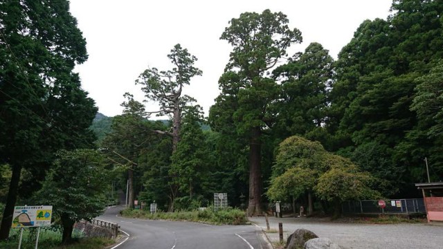 f:id:chayarokurokuro:20210919005519j:plain