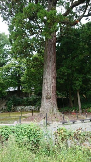 f:id:chayarokurokuro:20210919005539j:plain