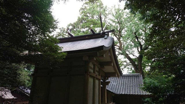 f:id:chayarokurokuro:20210919010634j:plain