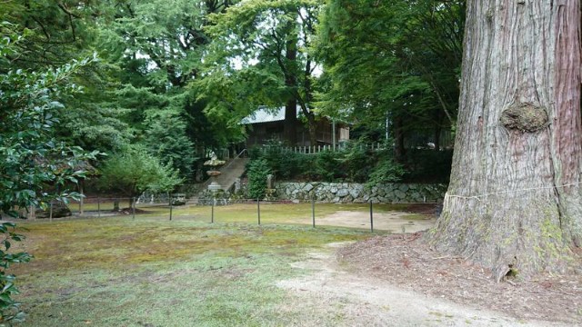 f:id:chayarokurokuro:20210919010731j:plain