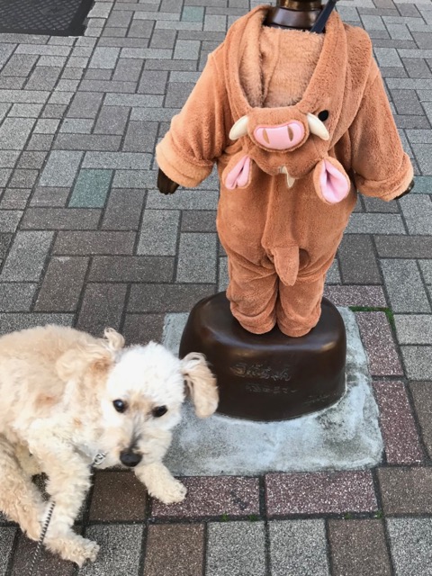 f:id:chazenyoga:20190103162540j:plain
