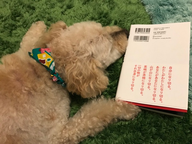 f:id:chazenyoga:20190115190827j:plain