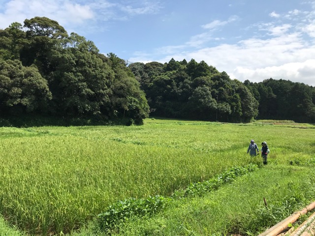 f:id:chazenyoga:20190821201627j:plain
