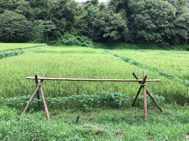 f:id:chazenyoga:20190821203331j:plain