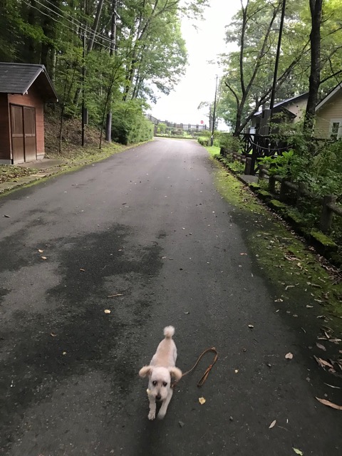 f:id:chazenyoga:20190901163604j:plain