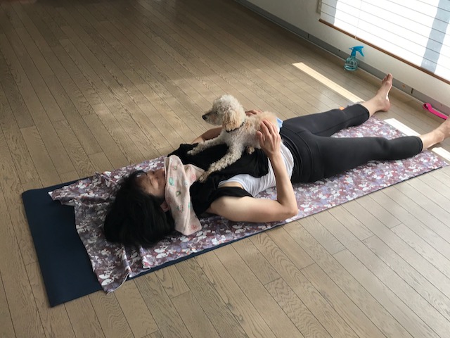 f:id:chazenyoga:20200529181806j:plain