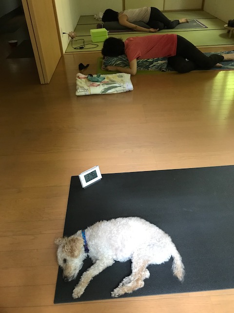 f:id:chazenyoga:20200817175131j:plain f:id:chazenyoga:20200817175131j:plain
