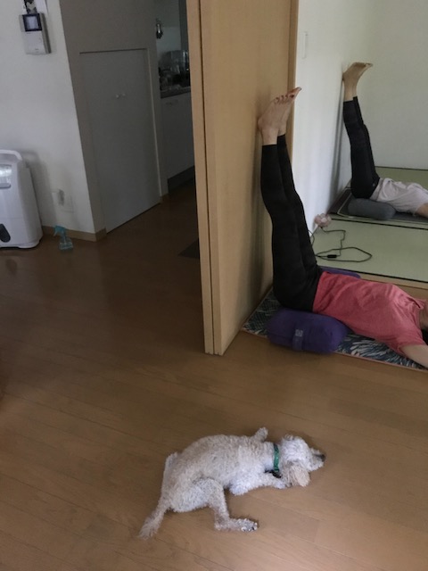 f:id:chazenyoga:20200817175534j:plain f:id:chazenyoga:20200817175534j:plain