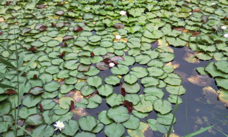 f:id:chd:20100809114050j:image f:id:chd:20100809114050j:image