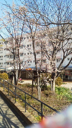 f:id:chd:20110326144000j:image f:id:chd:20110326144000j:image