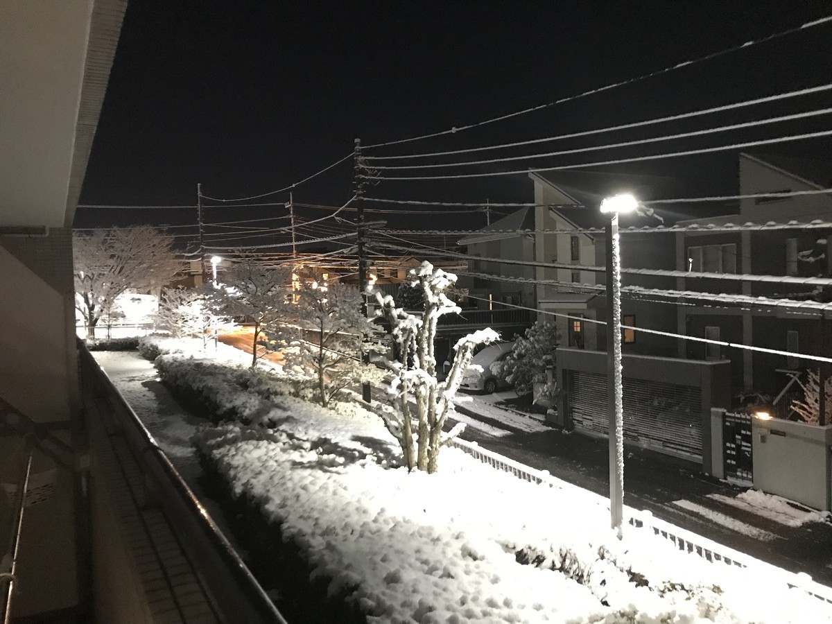 f:id:chd:20220106222558j:plain