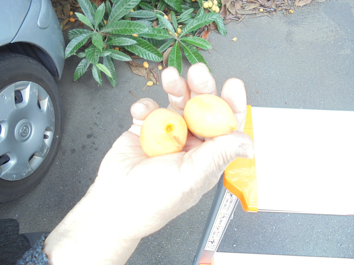 f:id:chealthy-service:20210604145653j:plain