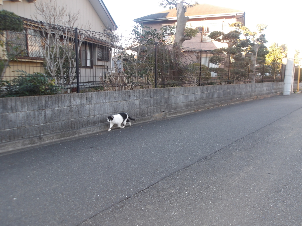 f:id:chealthy-service:20211219140244j:plain