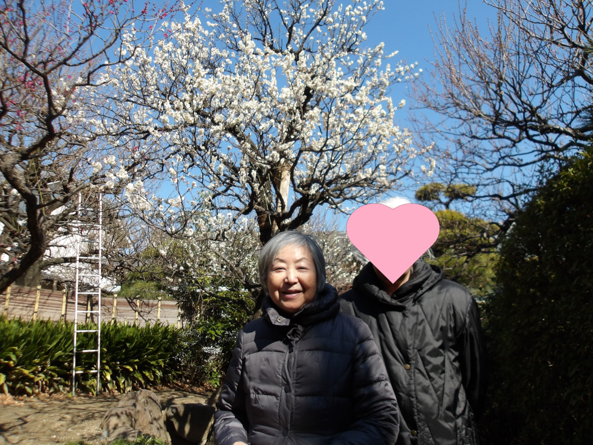 f:id:chealthy-service:20220305132342p:plain