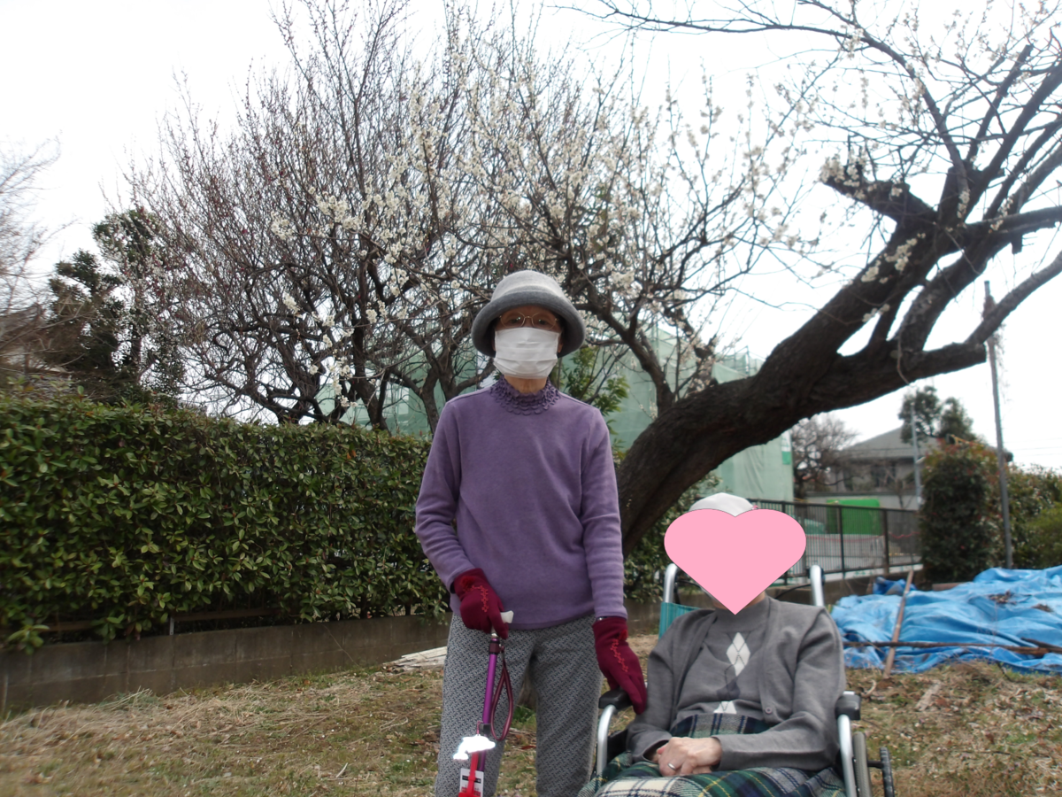 f:id:chealthy-service:20220313141948p:plain