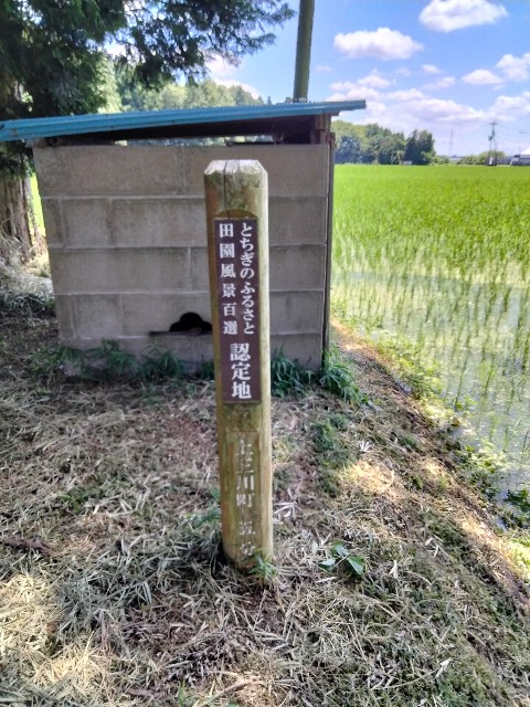 f:id:cheapmansuzukin:20240630200343j:image