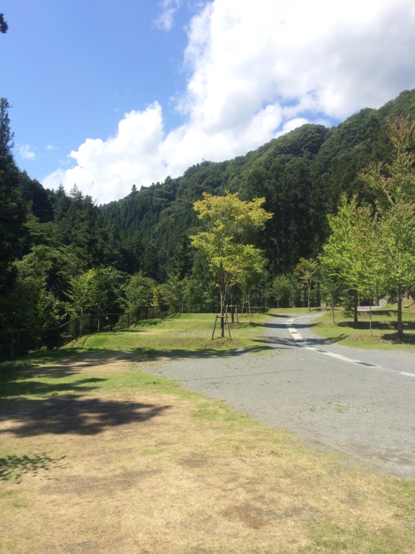 f:id:chebi:20140903203315j:plain