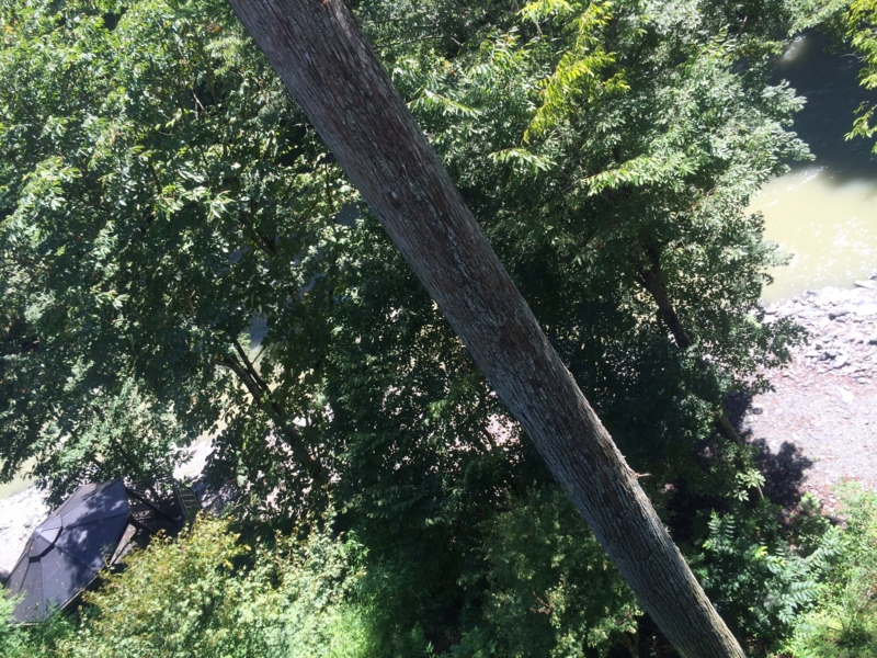 f:id:chebi:20140903203424j:plain