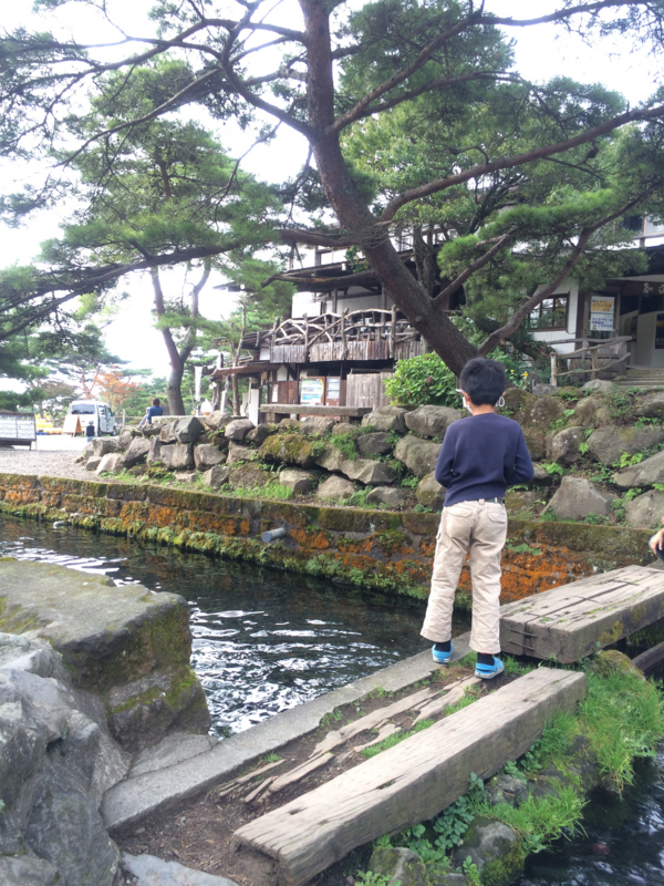 f:id:chebi:20141102114153j:plain f:id:chebi:20141102114153j:plain