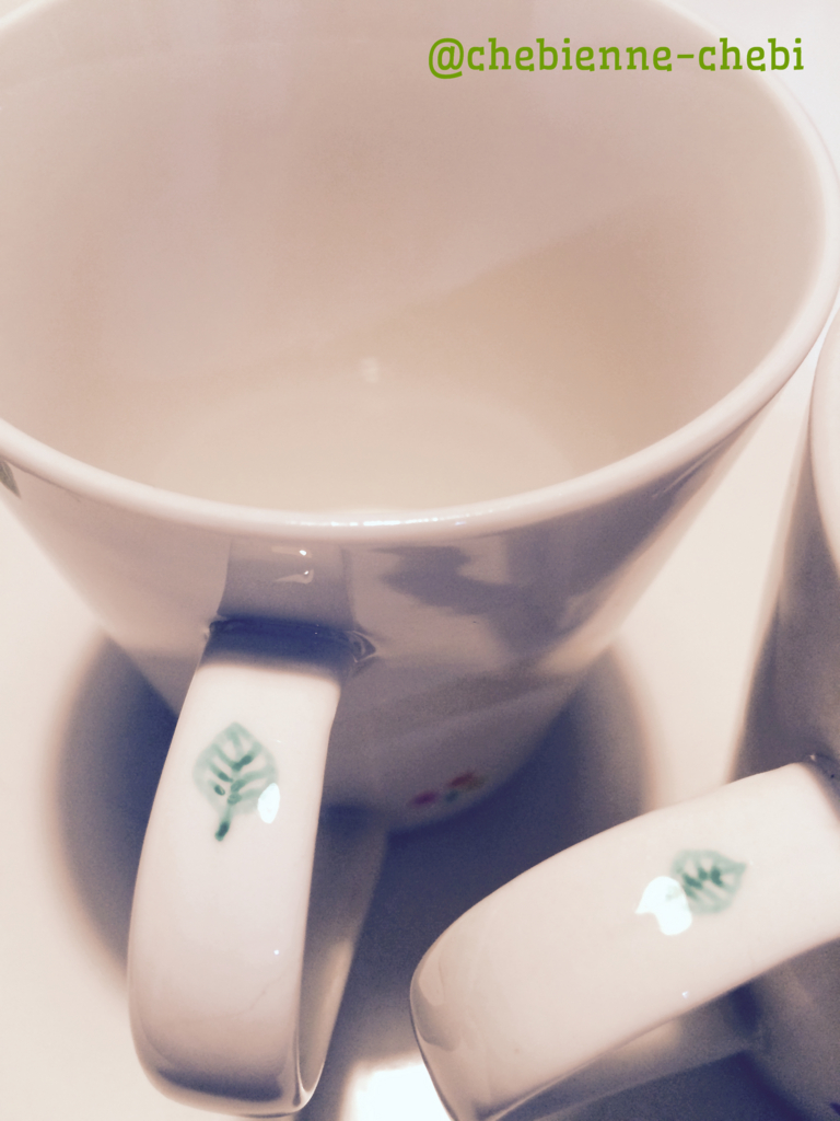 f:id:chebi:20150717145635j:plain