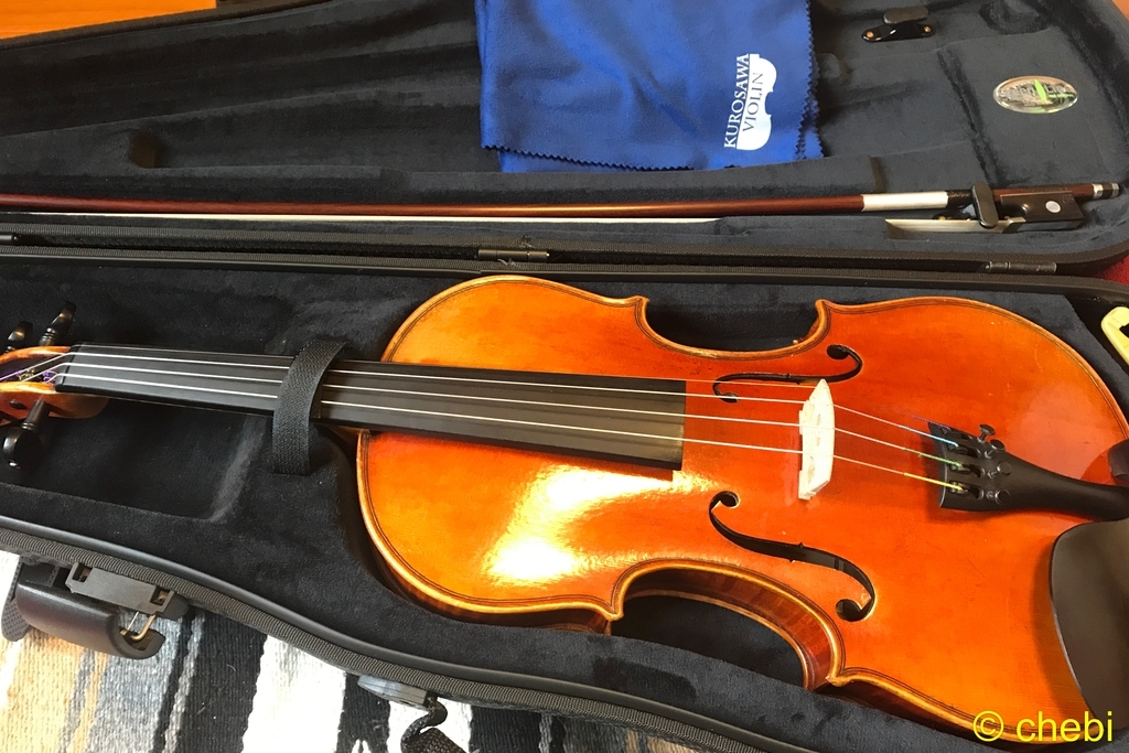 f:id:chebi:20180917145222j:plain