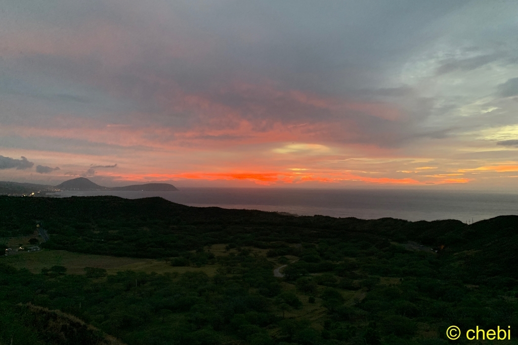 f:id:chebi:20190227113942j:plain
