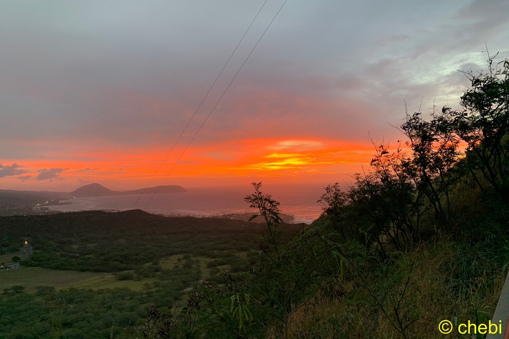 f:id:chebi:20190227114102j:plain