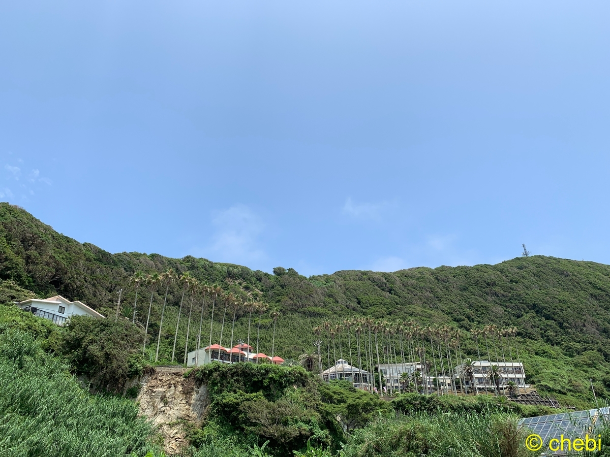 f:id:chebi:20190807085856j:plain