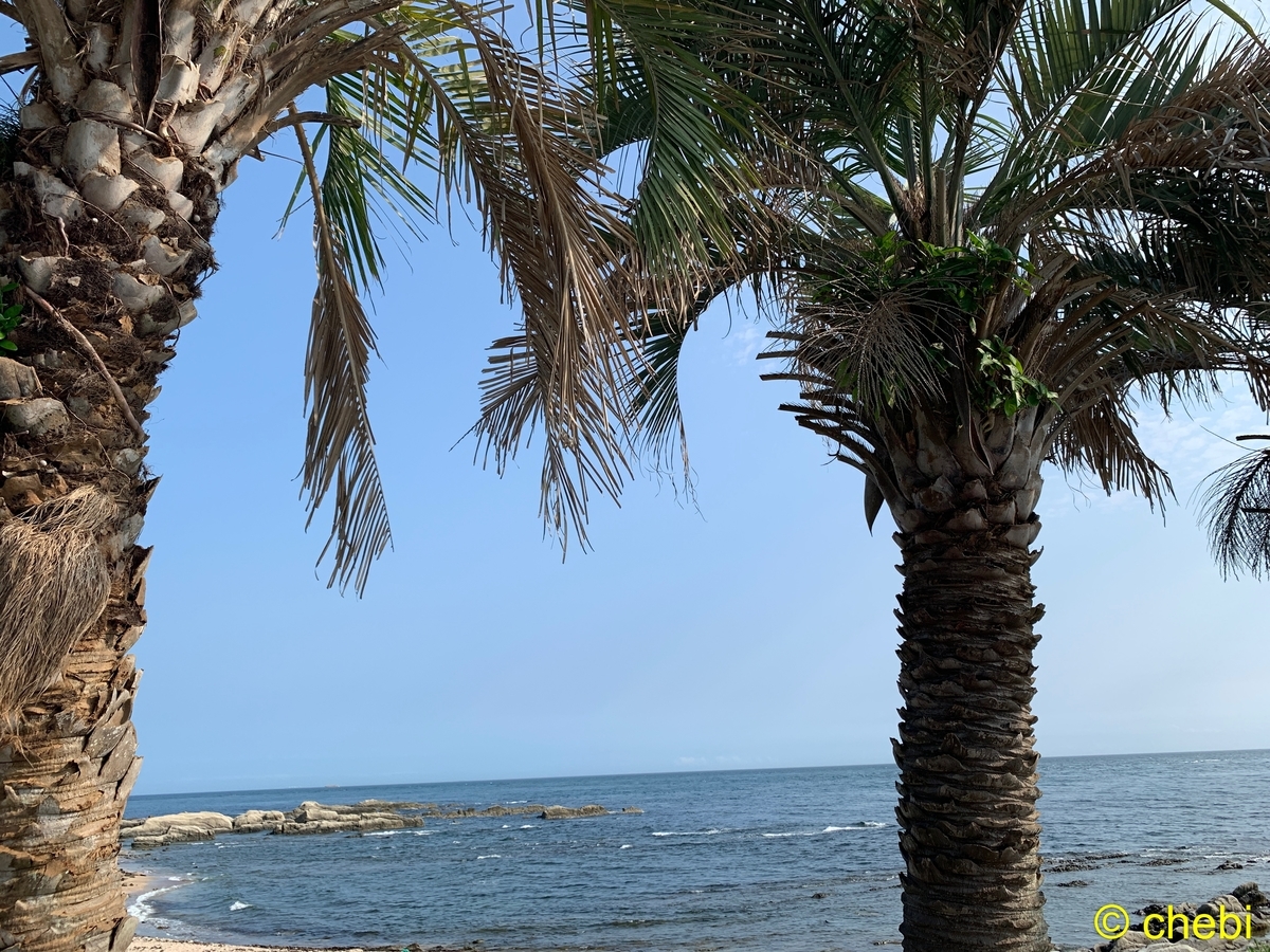 f:id:chebi:20190807085907j:plain