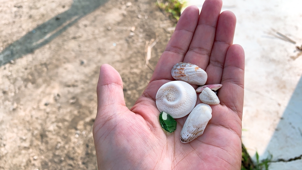 f:id:chebi:20190807085914j:plain