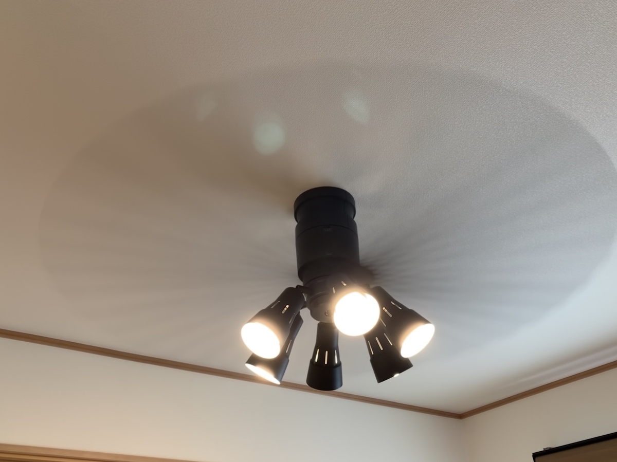 f:id:chebi:20190812153209j:plain