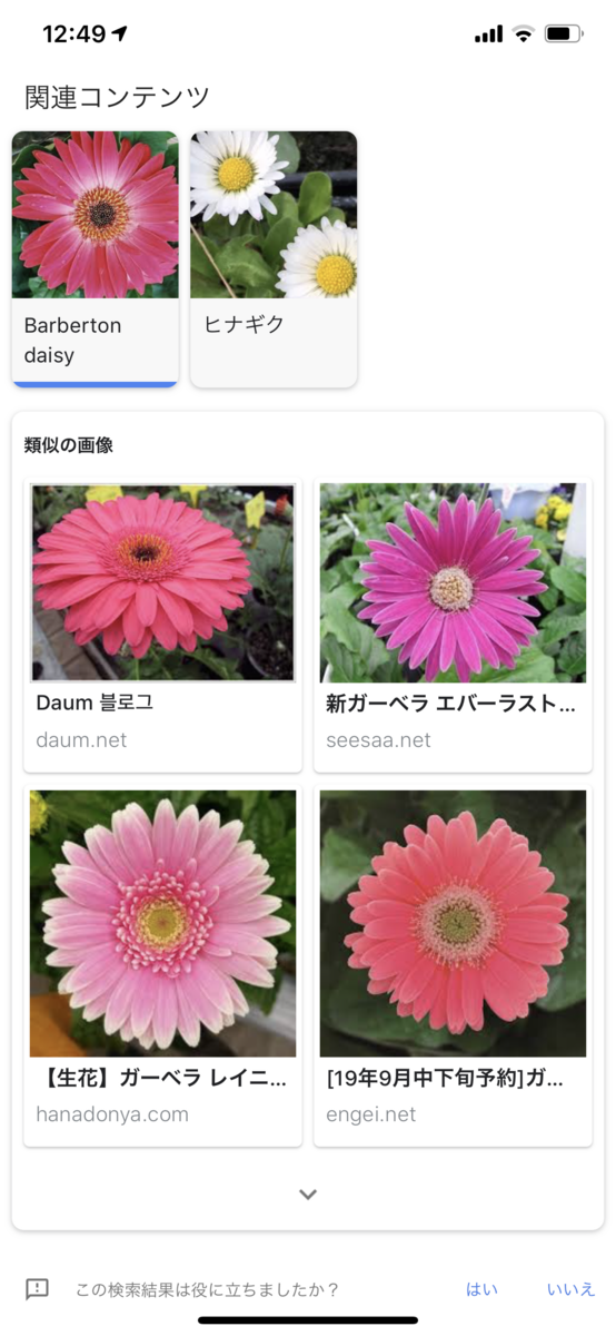 f:id:chebi:20190920135536p:plain