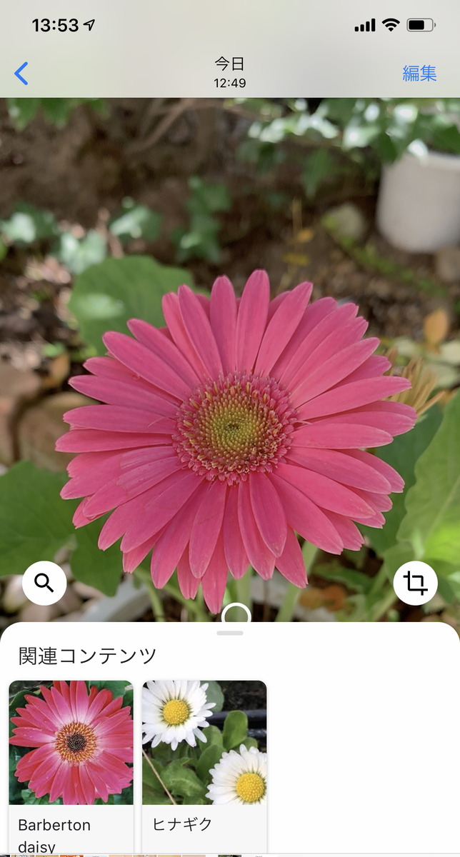 f:id:chebi:20190920135701j:plain