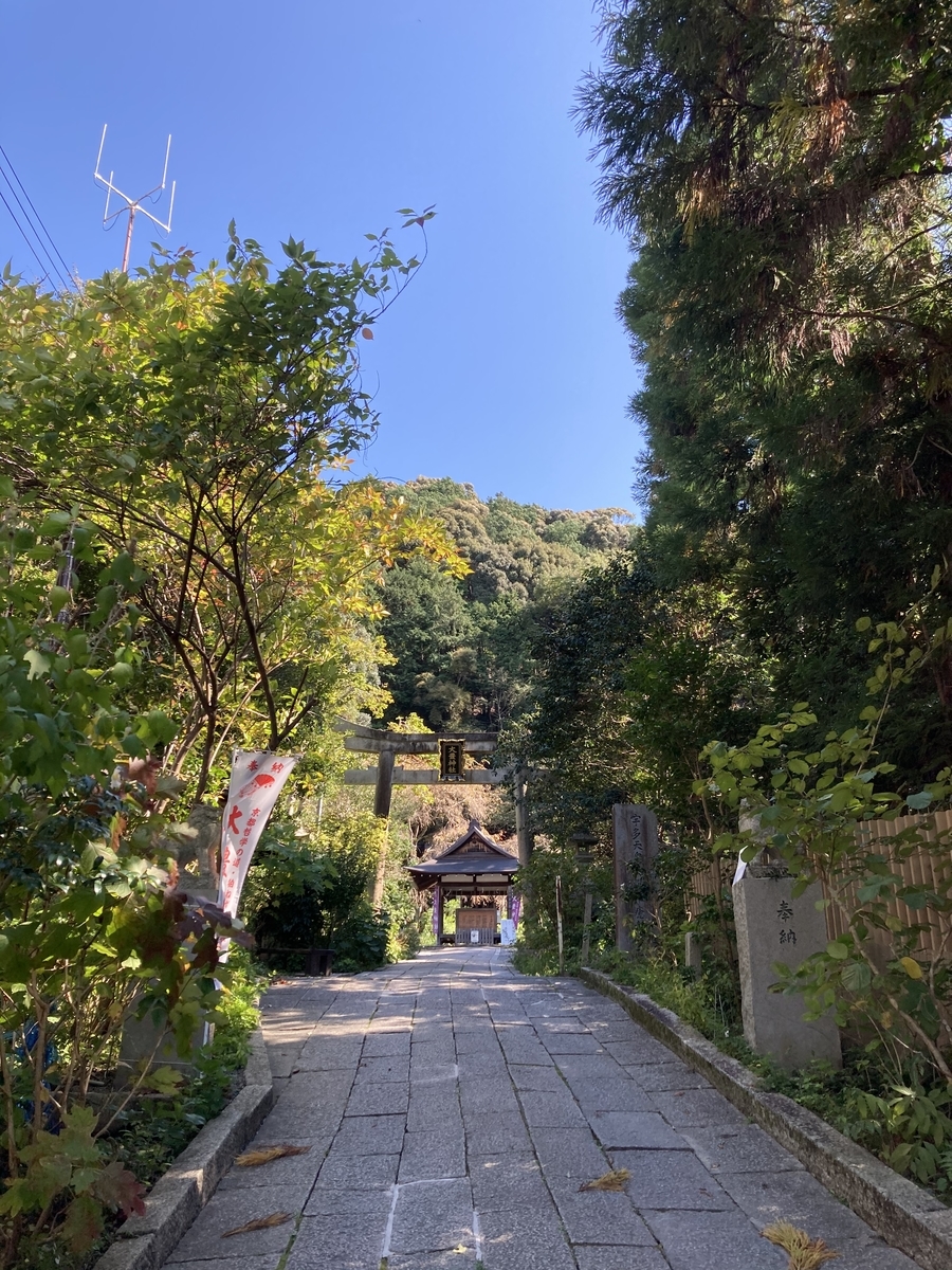 f:id:chebkazu:20201025114948j:plain