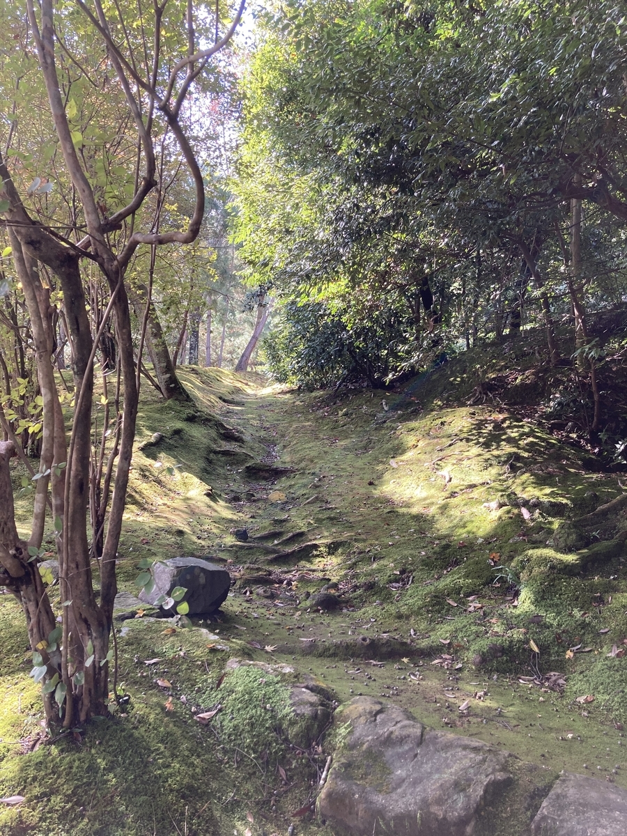 f:id:chebkazu:20201106222446j:plain