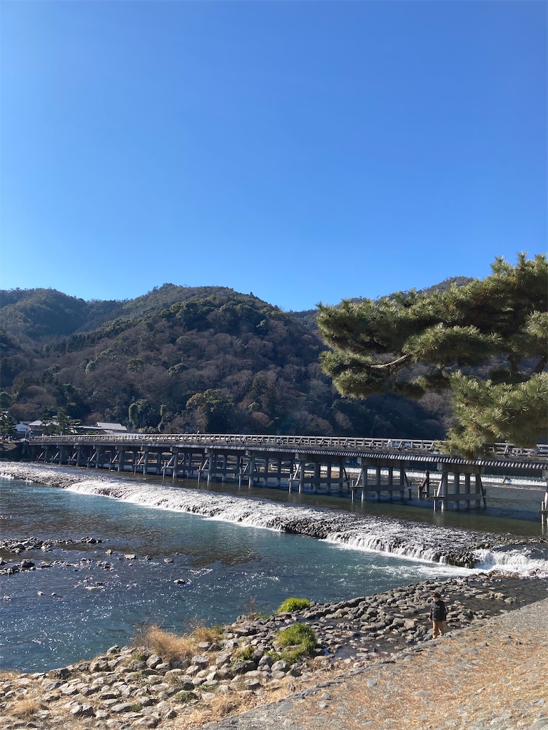 f:id:chebkazu:20210110165309j:image