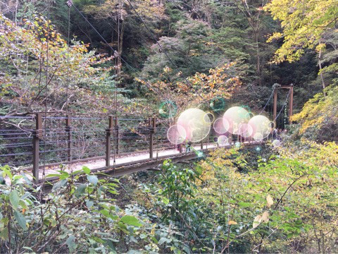 {1D020A3C-B6AA-484D-B32F-9709C141D2D1}