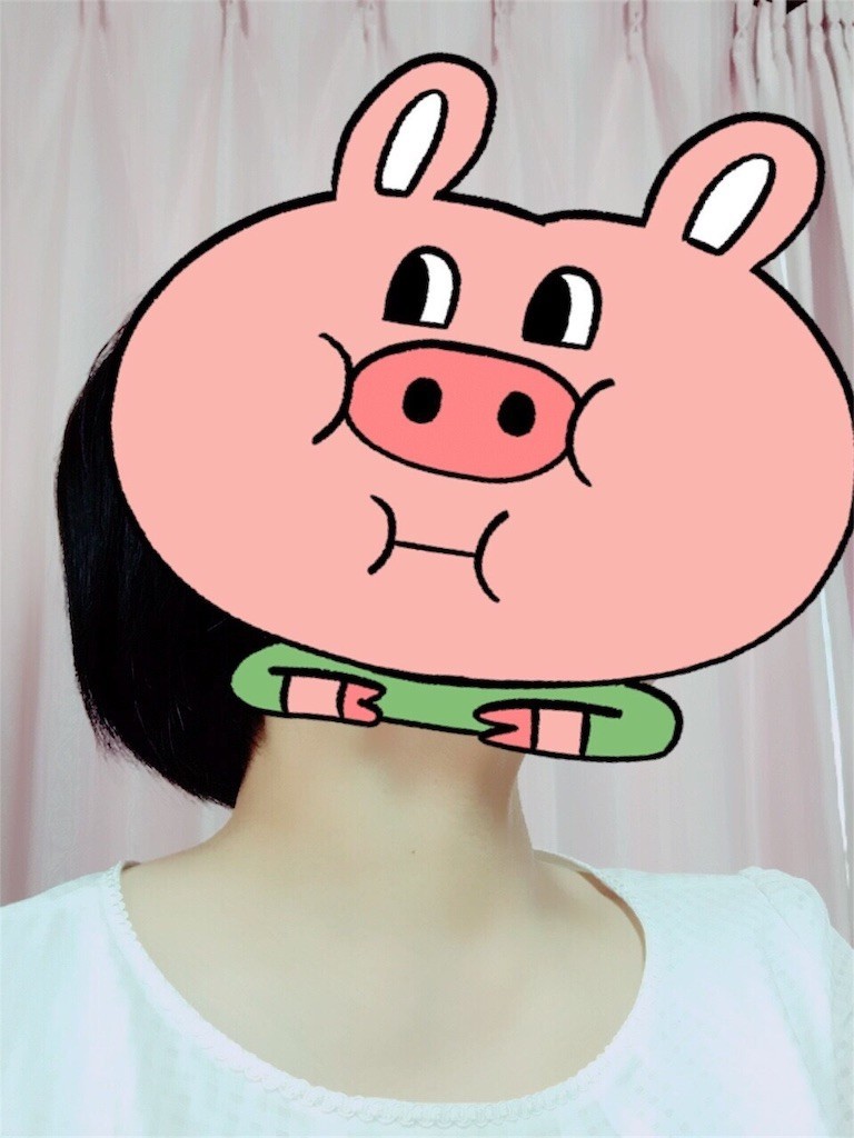 f:id:cheboo:20180420132257j:image f:id:cheboo:20180420132257j:image