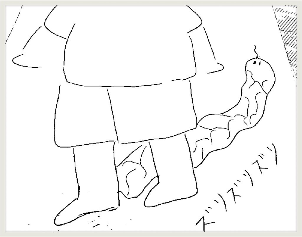 f:id:cheboo:20180508115235j:image f:id:cheboo:20180508115235j:image