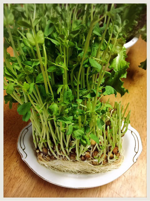 {34E55C11-2C9D-47C5-AA41-9C3039FC397D}