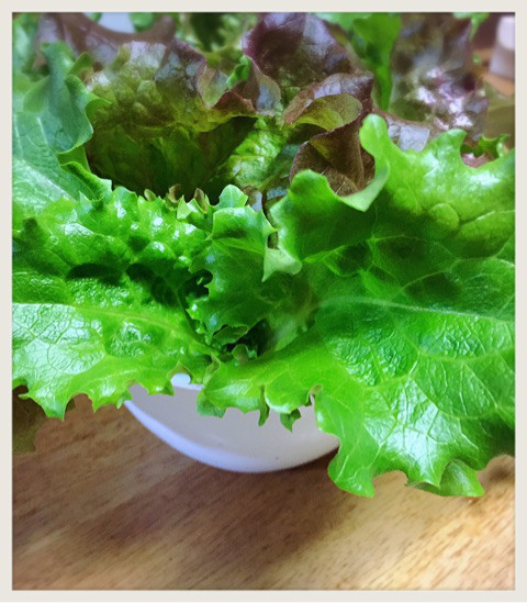 {29F9642F-5128-420C-9975-AF57F7B255C3}