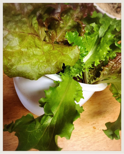 {0554A597-1837-4B0E-A29C-65F4402D5FBF}