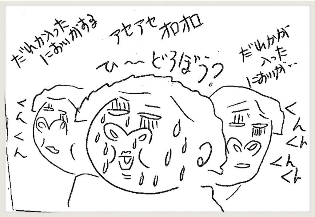 f:id:cheboo:20190506104828j:image f:id:cheboo:20190506104828j:image