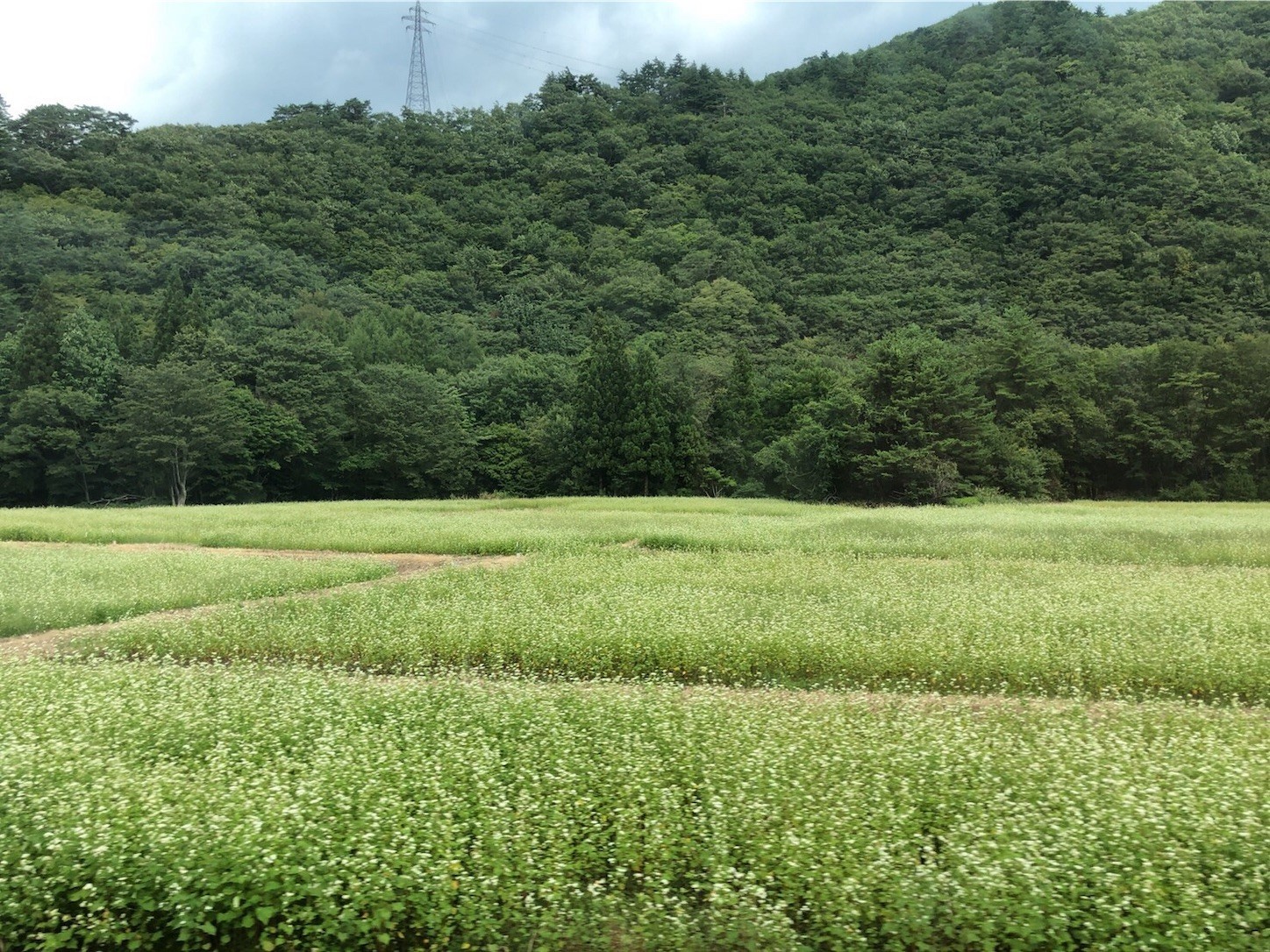 f:id:cheboo:20190919182741j:image