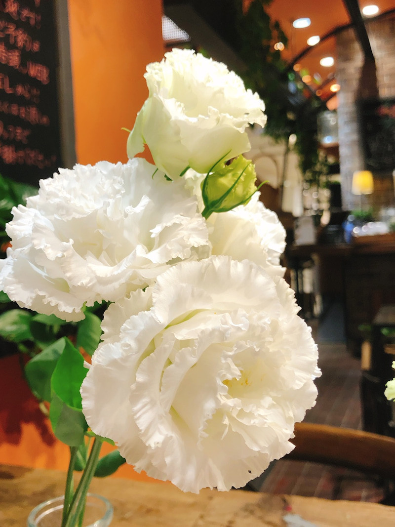 f:id:cheboo:20191108233441j:plain f:id:cheboo:20191108233441j:plain